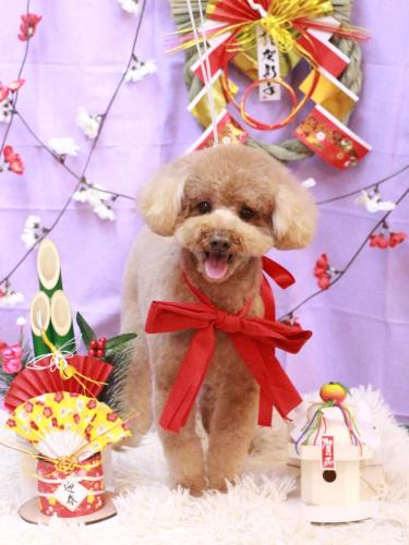 20230115リルくん